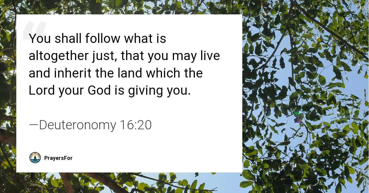 Deuteronomy 16:20