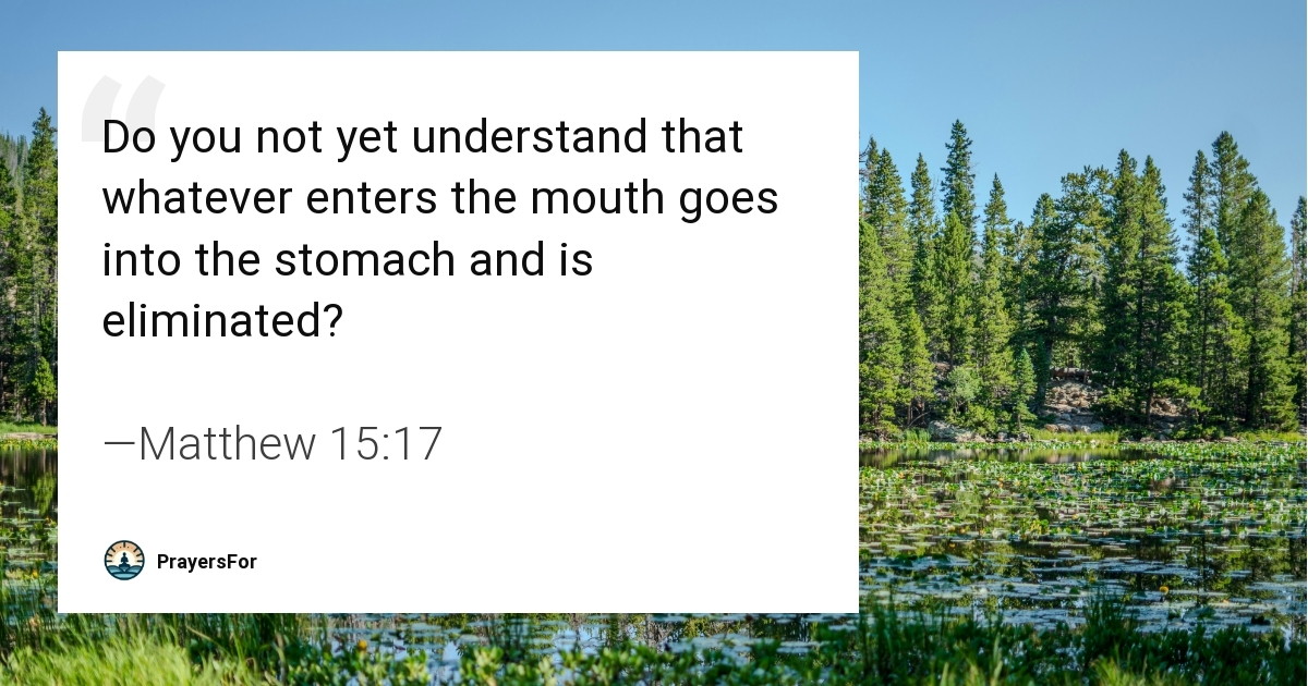 Matthew 15:17