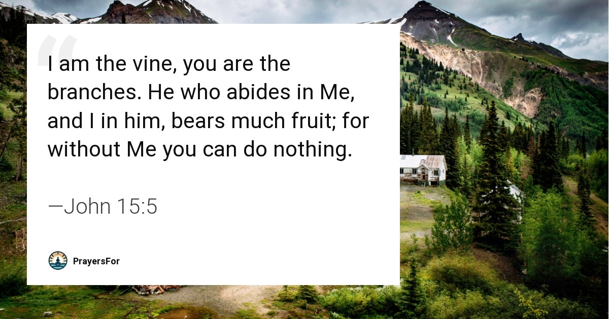 John 15:5