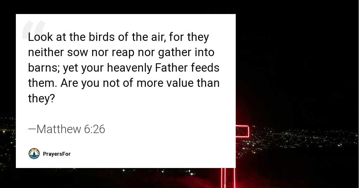 Matthew 6:26