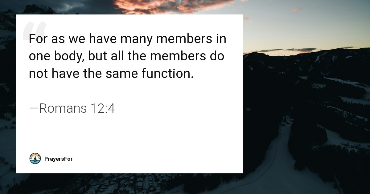 Romans 12:4