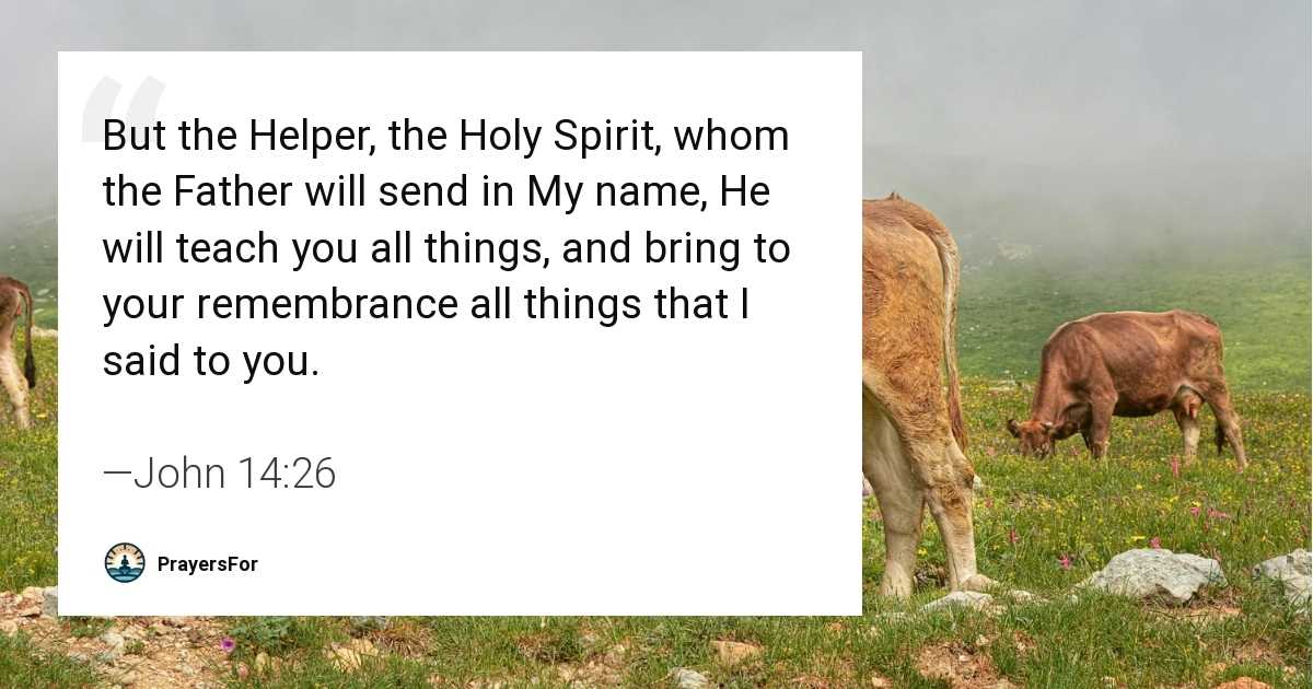 John 14:26