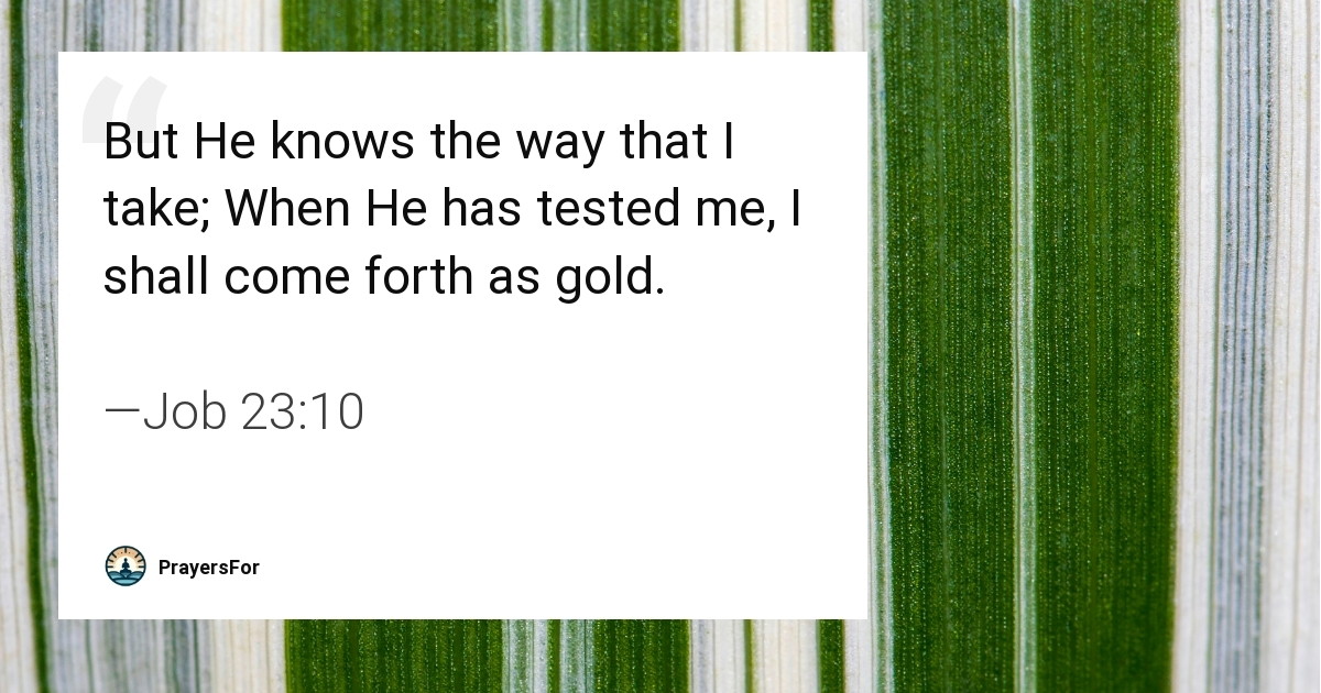 Job 23:10