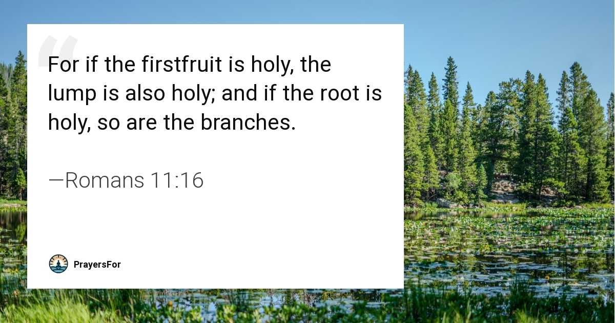 Romans 11:16