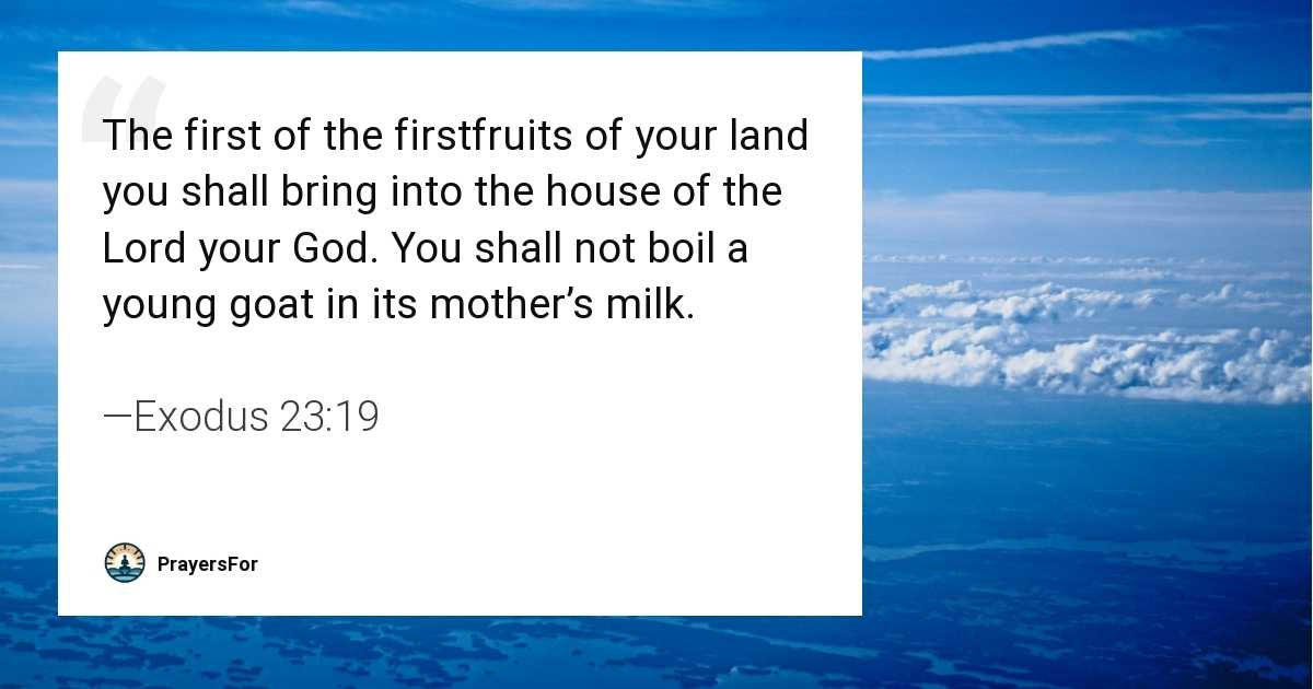 Exodus 23:19