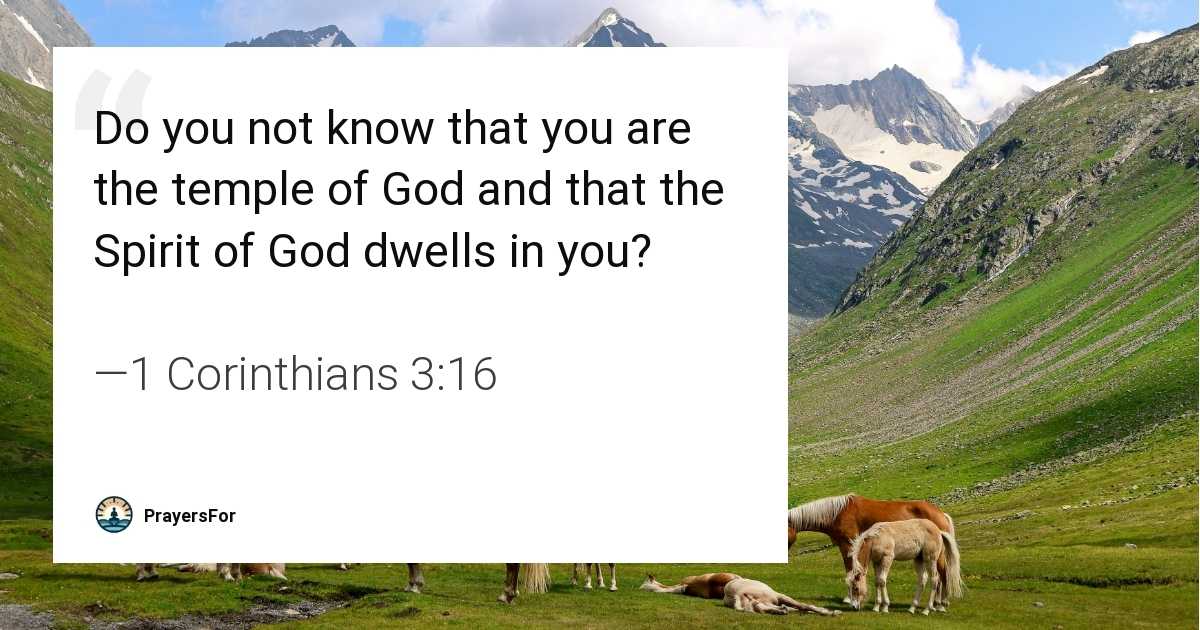 1 Corinthians 3:16