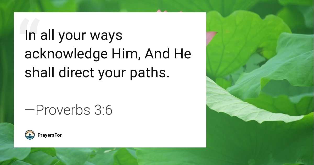 Proverbs 3:6
