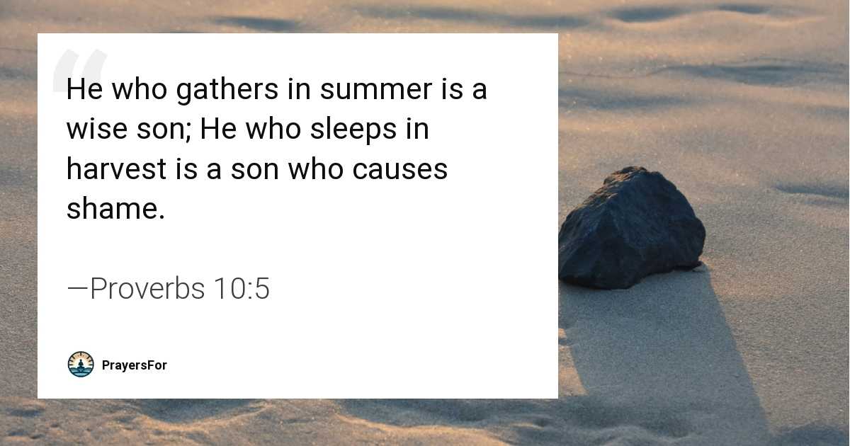Proverbs 10:5