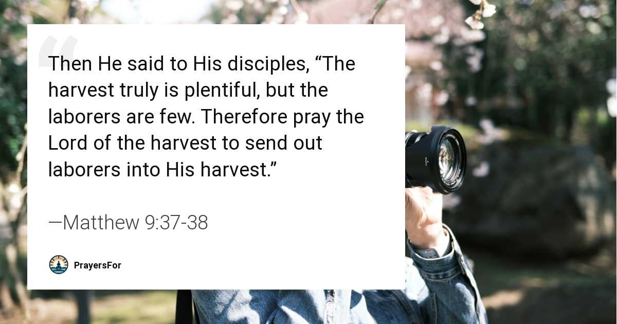 Matthew 9:37-38