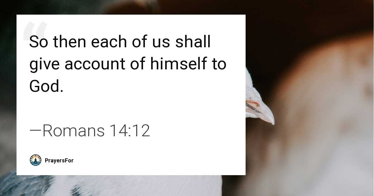 Romans 14:12