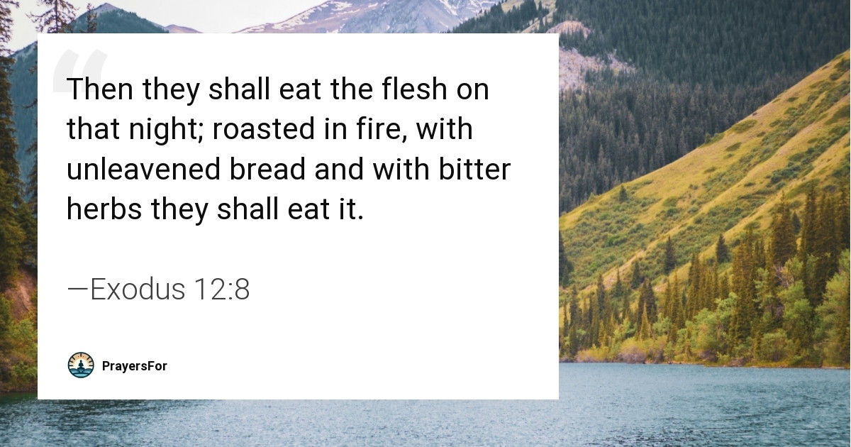 Exodus 12:8