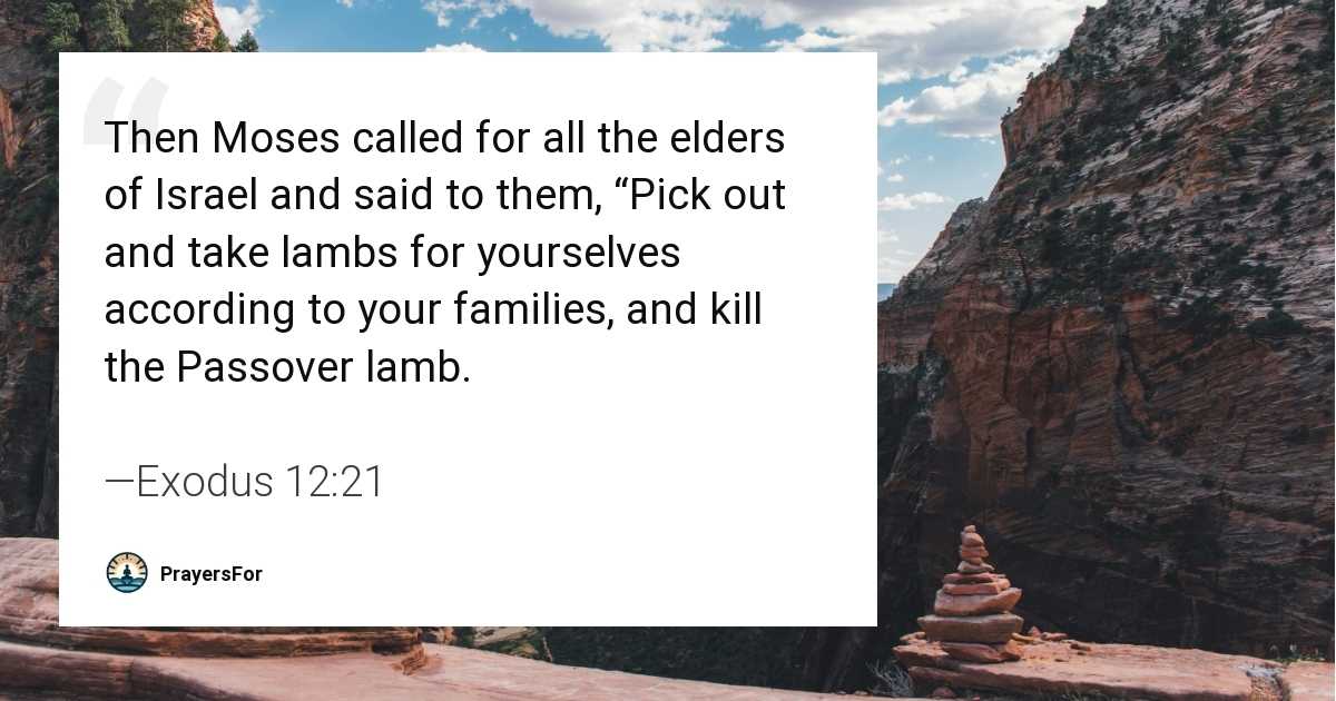 Exodus 12:21