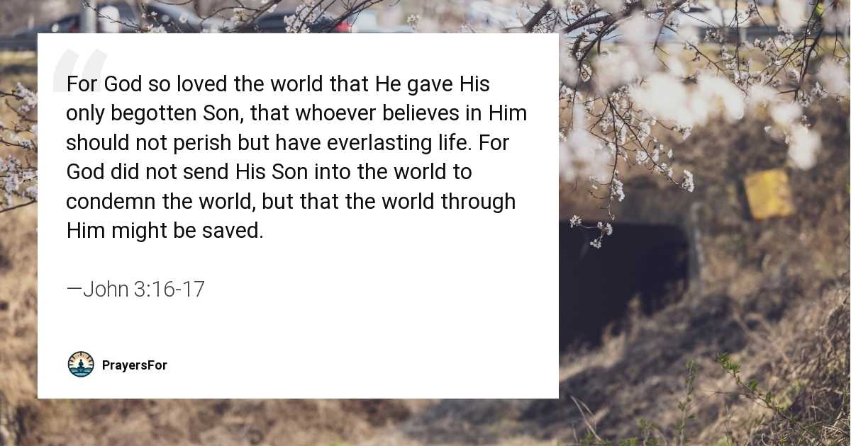 John 3:16-17