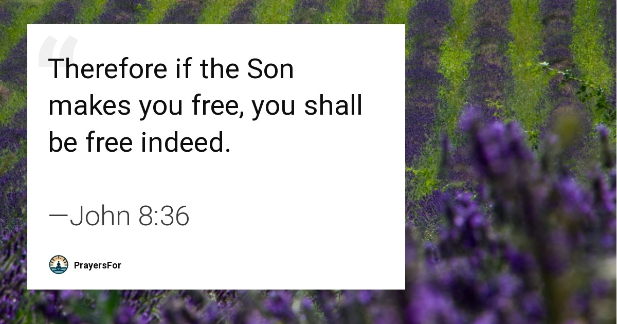 John 8:36