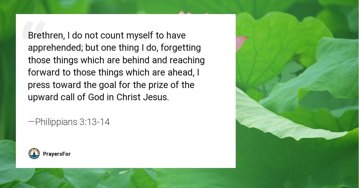 Philippians 3:13-14