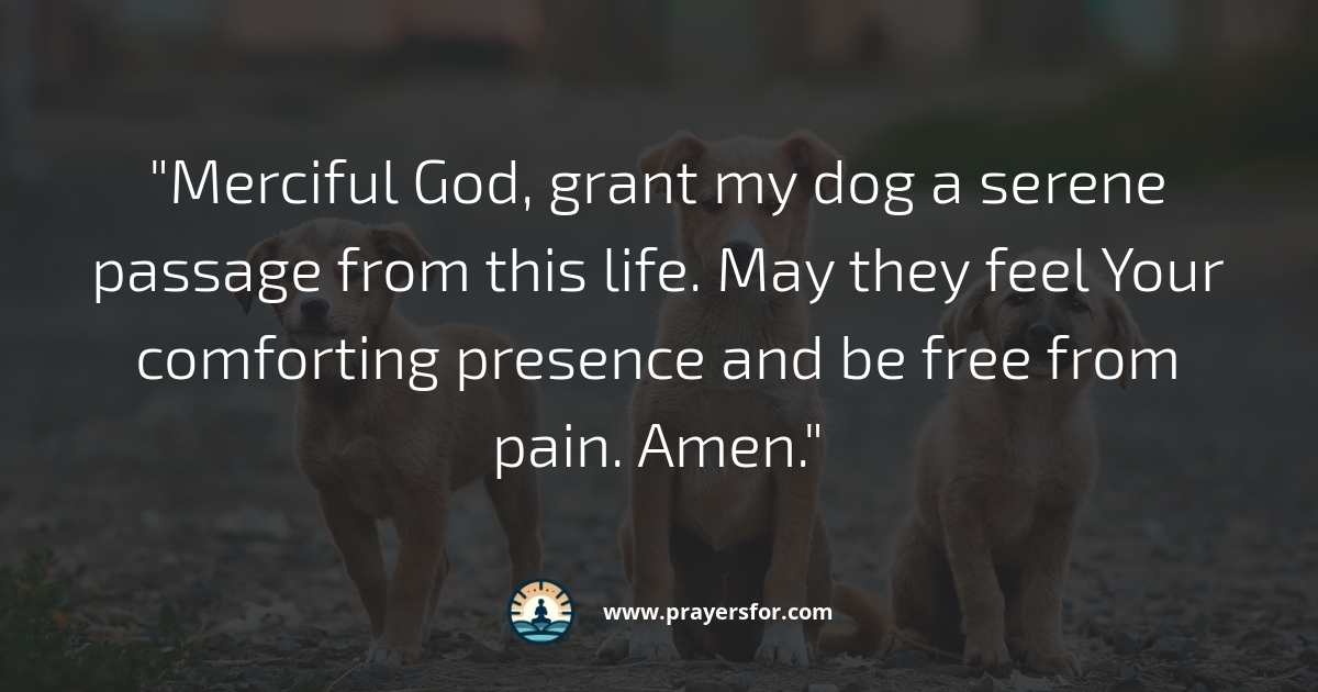 Prayer for peaceful goodbye and gratitude for a dying dog