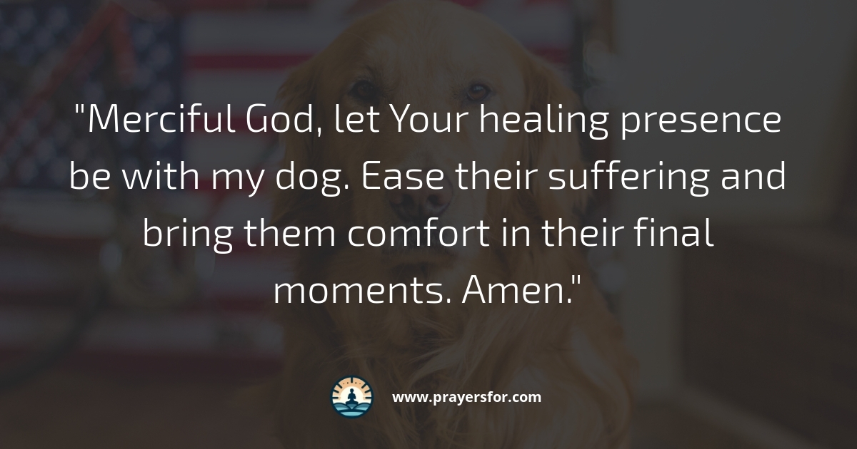 Prayer for comfort and presence with a dying dog