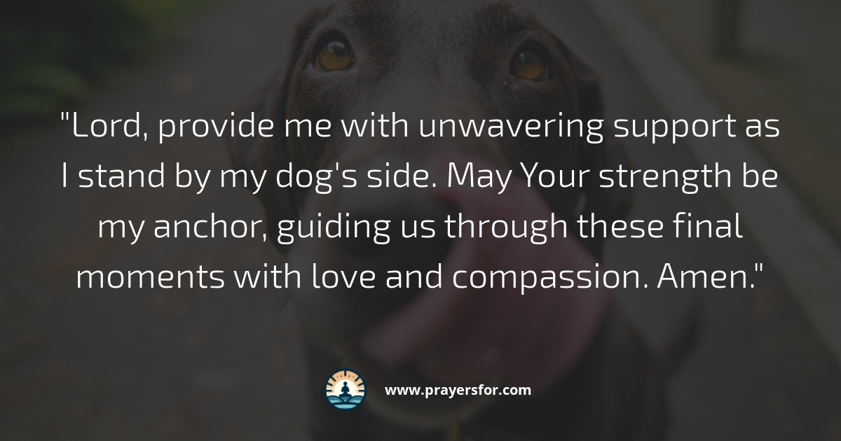 Prayer for wisdom and mercy in hard end-of-life decisions for a dog