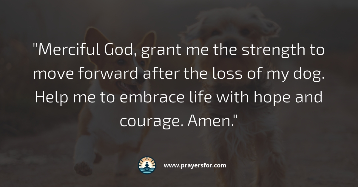 Prayer for grief and healing after losing a beloved dog