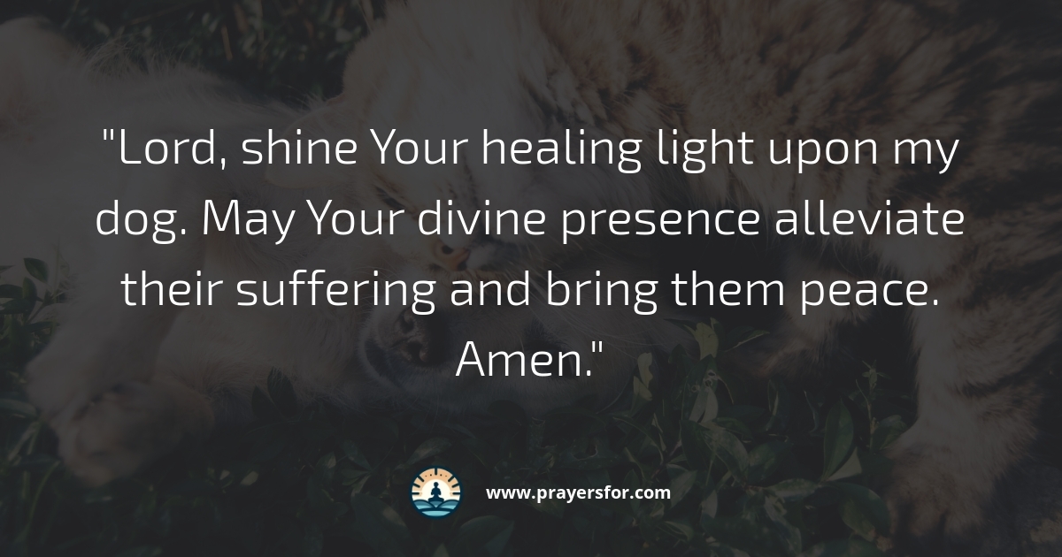 Prayer for pain relief and gentle rest for a dying dog