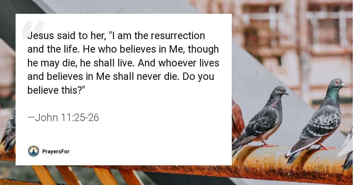 John 11:25-26