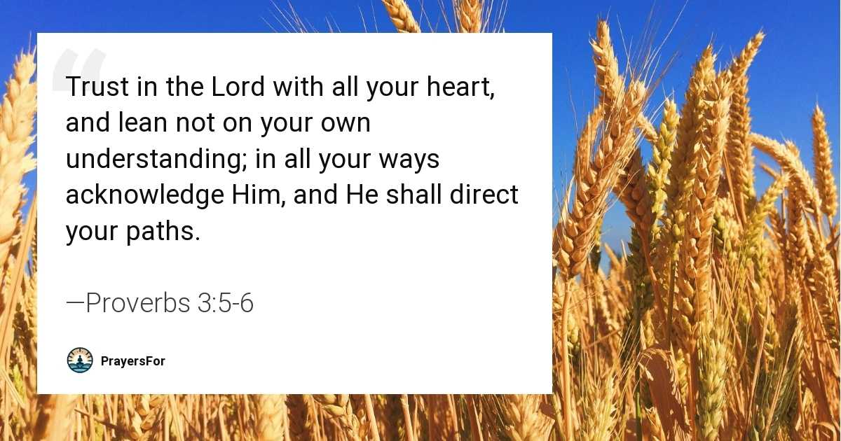 Proverbs 3:5-6