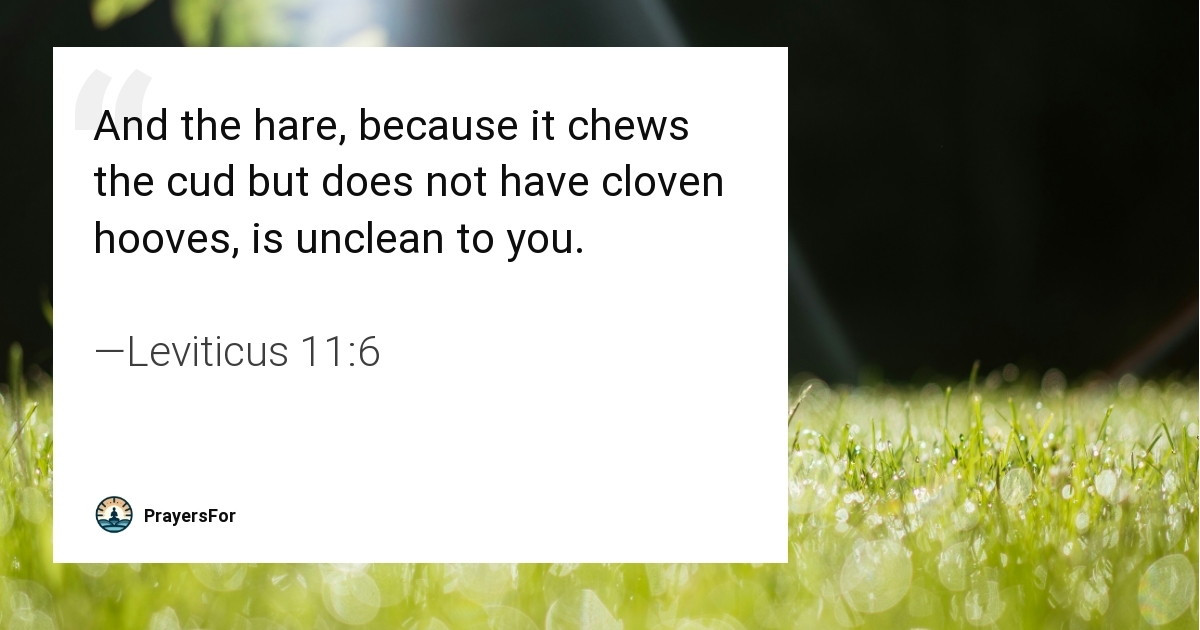 Leviticus 11:6