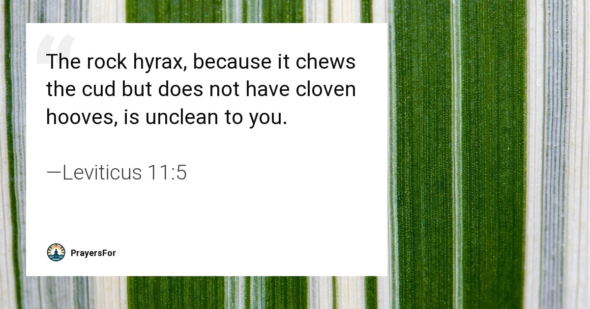 Leviticus 11:5