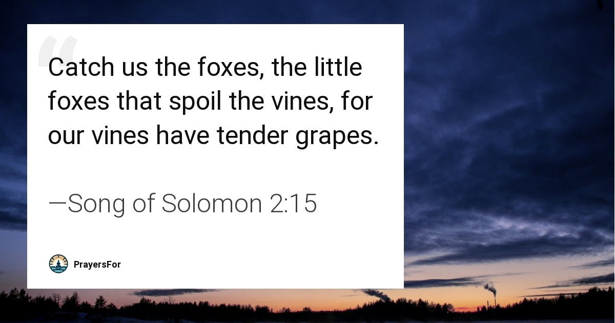 Song of Solomon 2:15