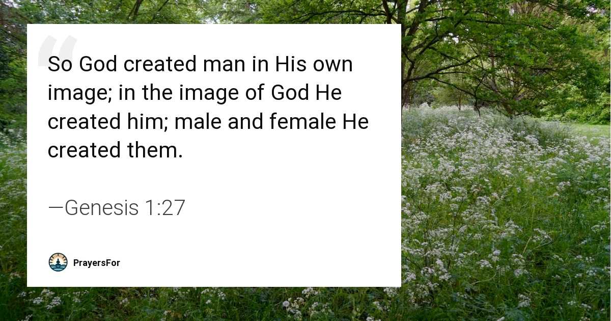 Genesis 1:27