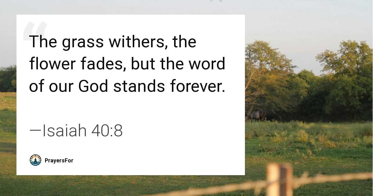 Isaiah 40:8