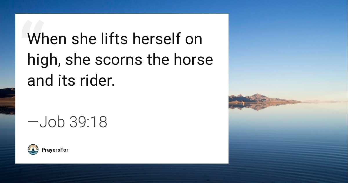 Job 39:18