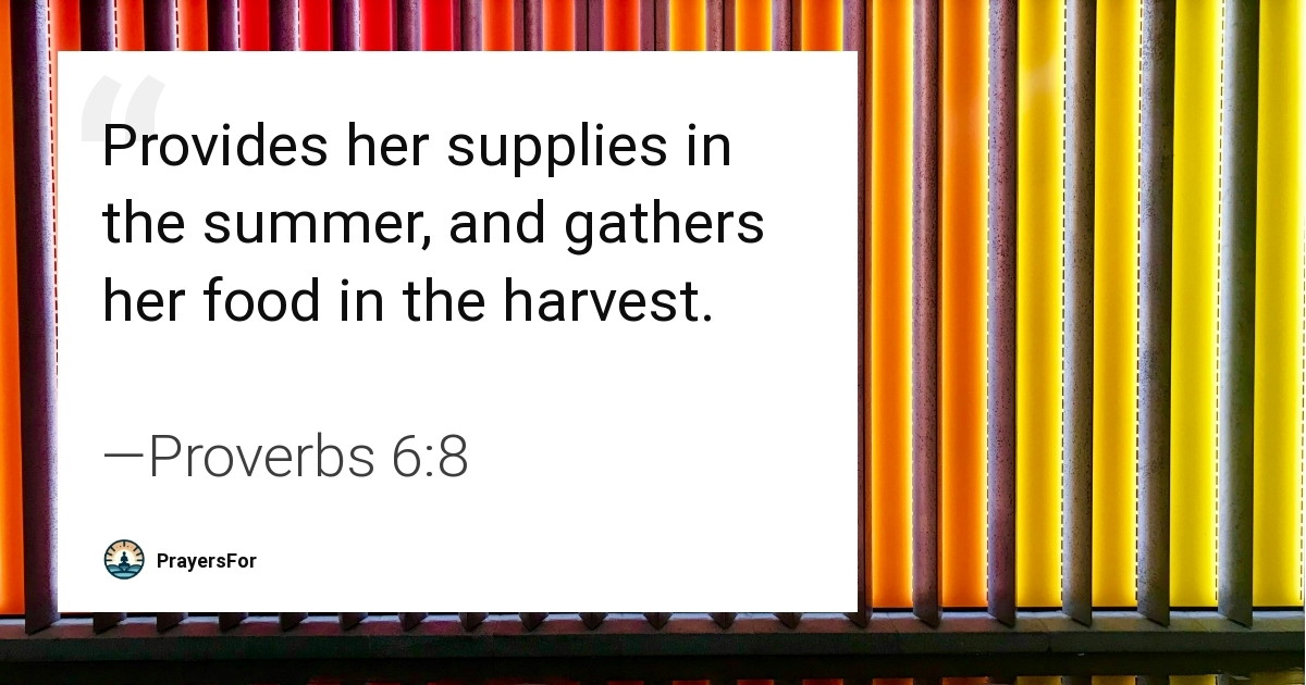 Proverbs 6:8