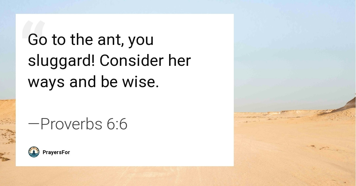 Proverbs 6:6