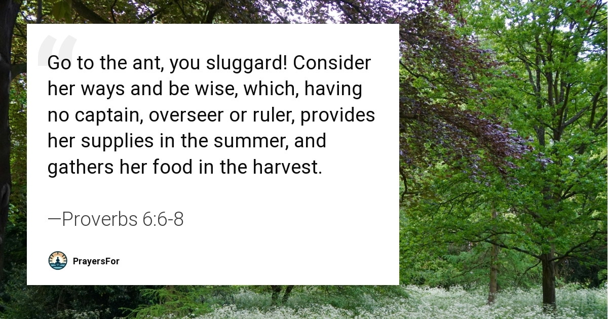 Proverbs 6:6-8