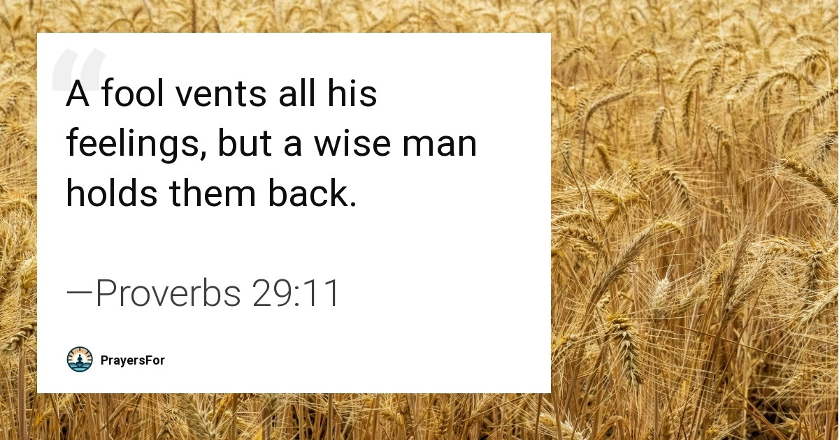 Proverbs 29:11