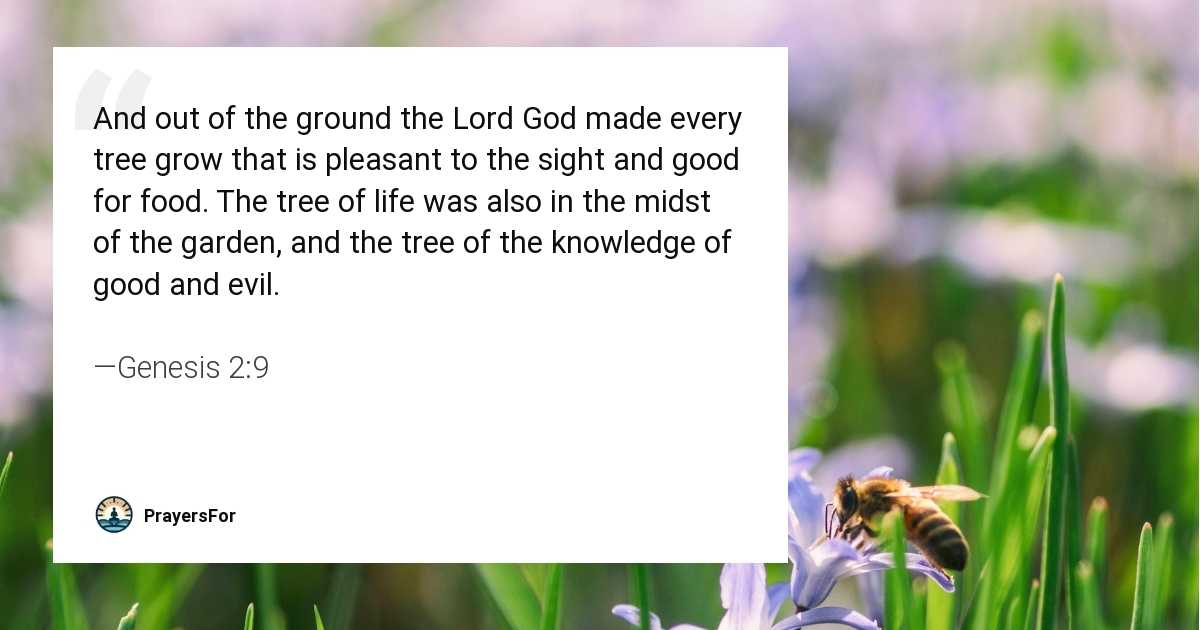 Genesis 2:9