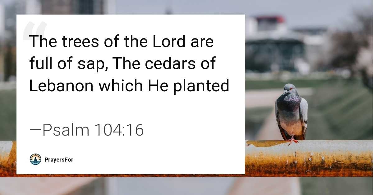 Psalm 104:16