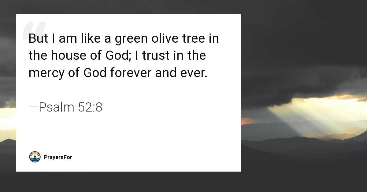 Psalm 52:8