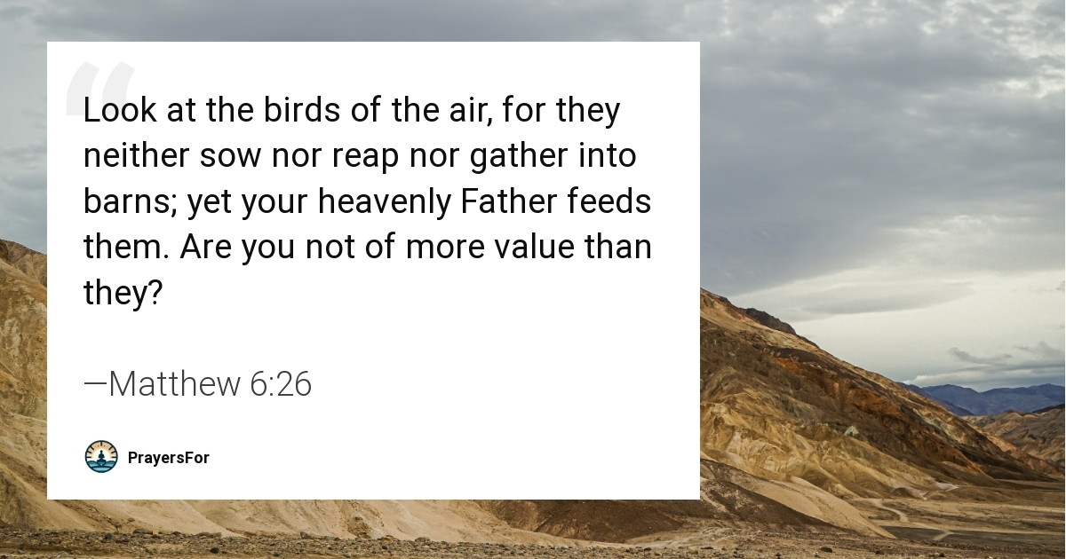 Matthew 6:26