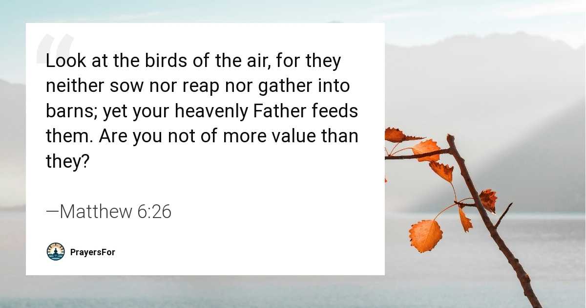 Matthew 6:26