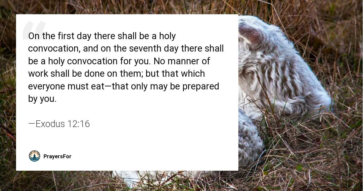 Exodus 12:16
