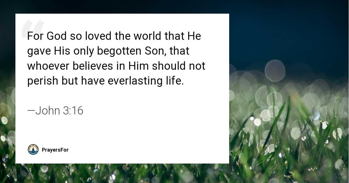 John 3:16