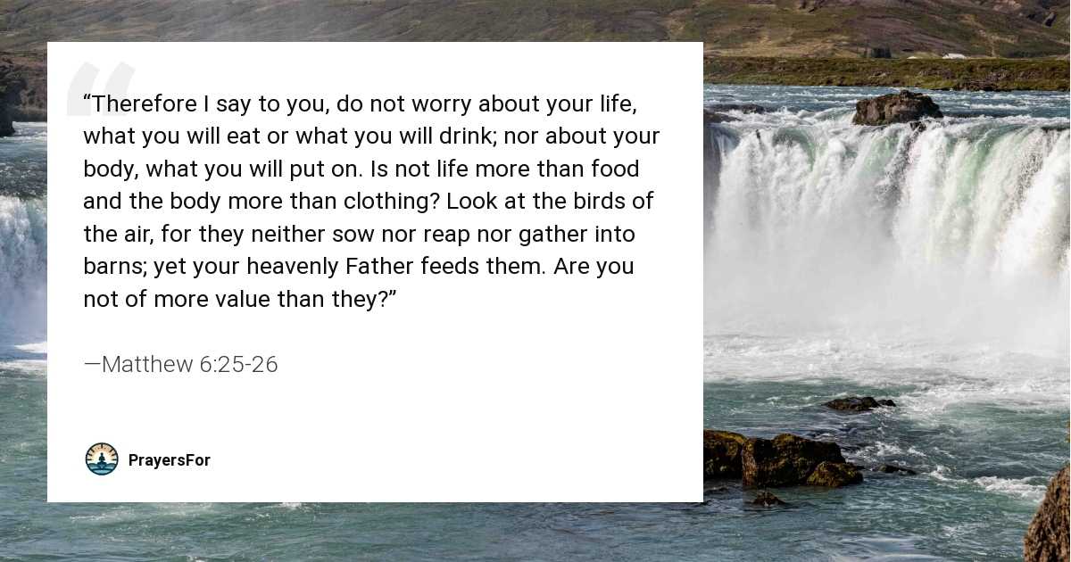 Matthew 6:25-26