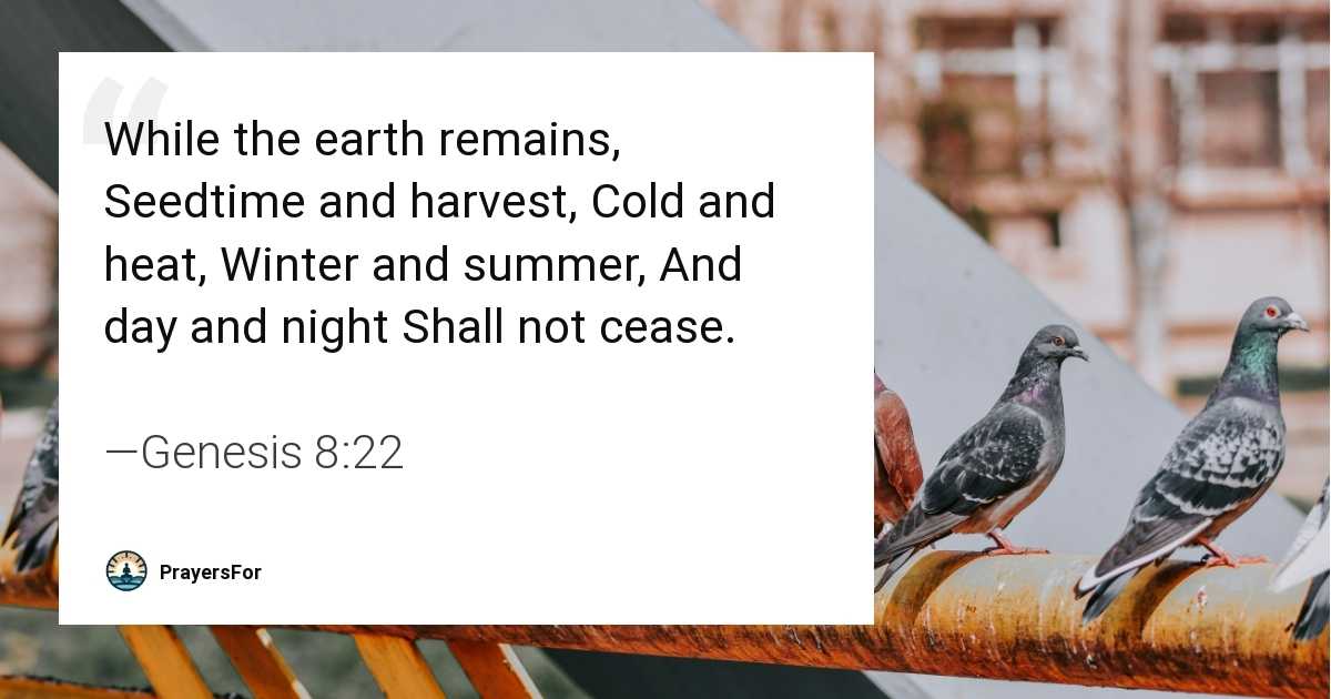 Genesis 8:22