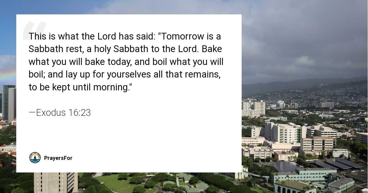 Exodus 16:23