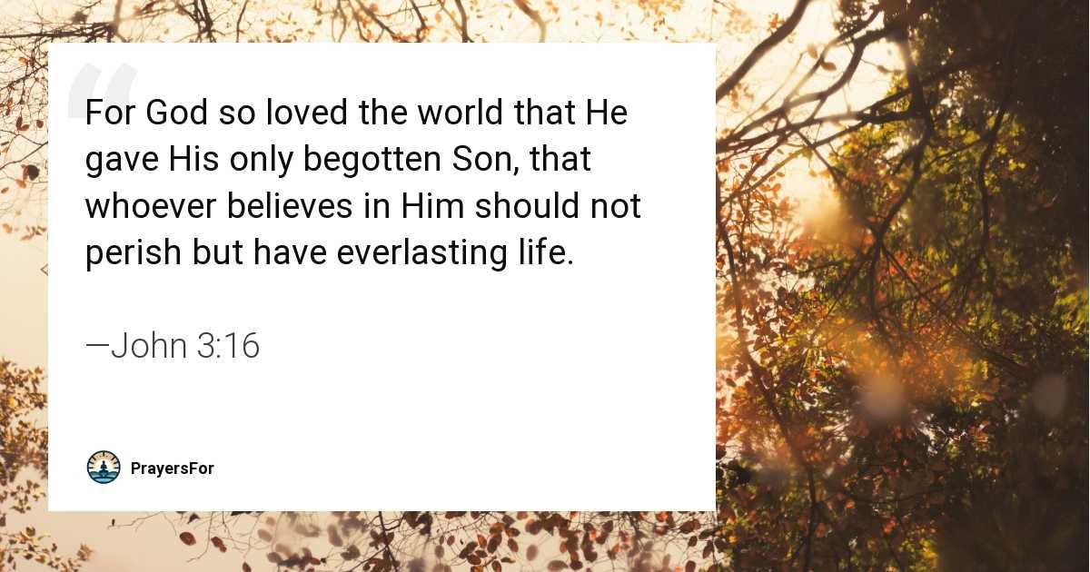 John 3:16