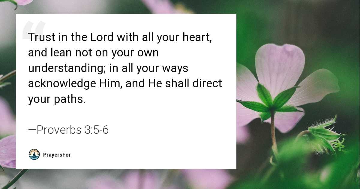 Proverbs 3:5-6