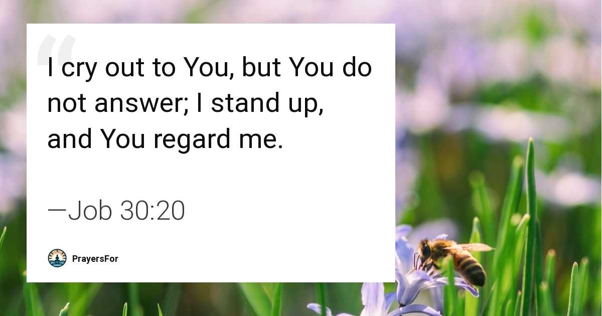 Job 30:20 Bible verse quote about questioning in suffering