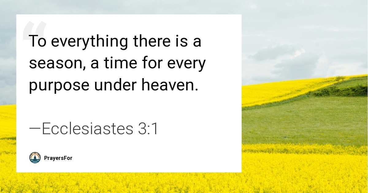 Ecclesiastes 3:1 Bible verse quote about questions in life seasons